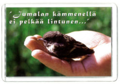 Magneetti, lintu kämmenellä
