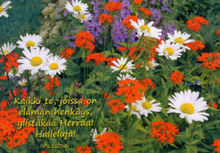 Kortti, Kaikki te, joissa elämän