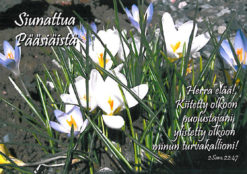 Kortti, päääsiäinen, Herra elää!